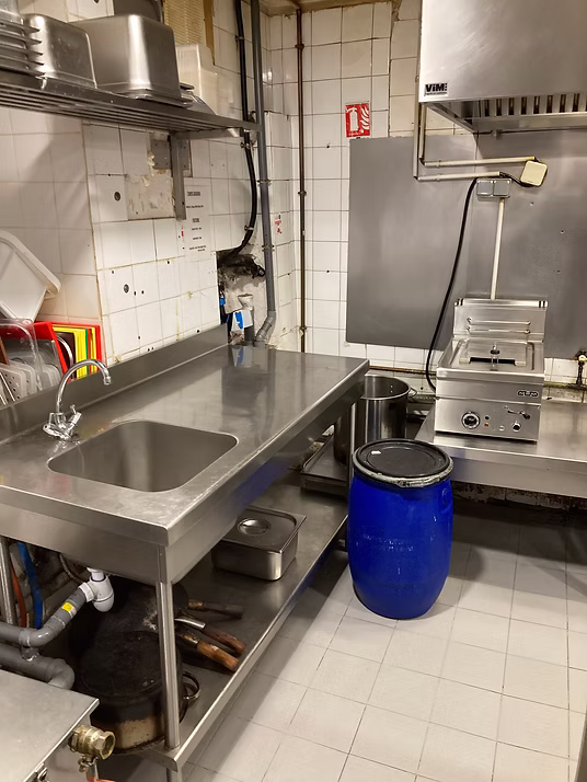 Constraints Study — 733d2c_70fbce0b105a45ada3a72b7564b0761e~mv2.jpg.avif