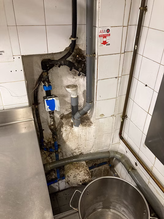 Constraints Study — 733d2c_819eebf27a1b46cbafc138ba1410af9e~mv2.jpg.avif